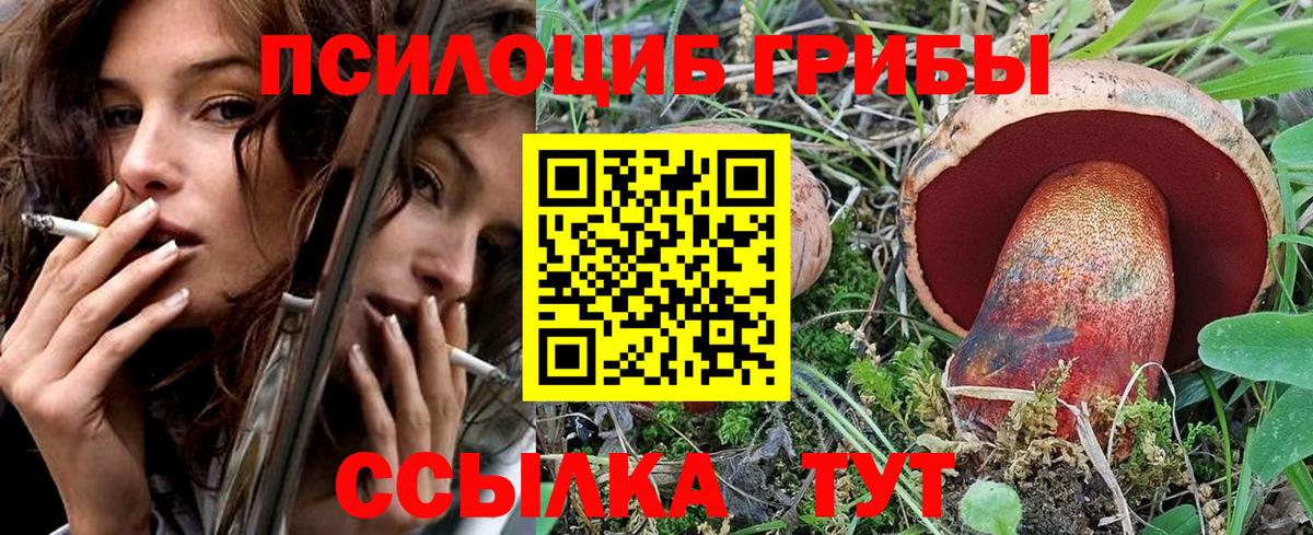 Галлюциногенные грибы мухоморы Зима