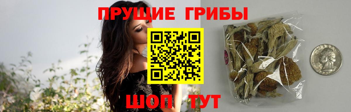 Псилоцибиновые грибы Magic Shrooms  Вход с VPN  Зима 